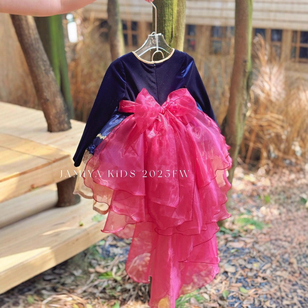 Fairytale Velvet & Tulle Princess Dress