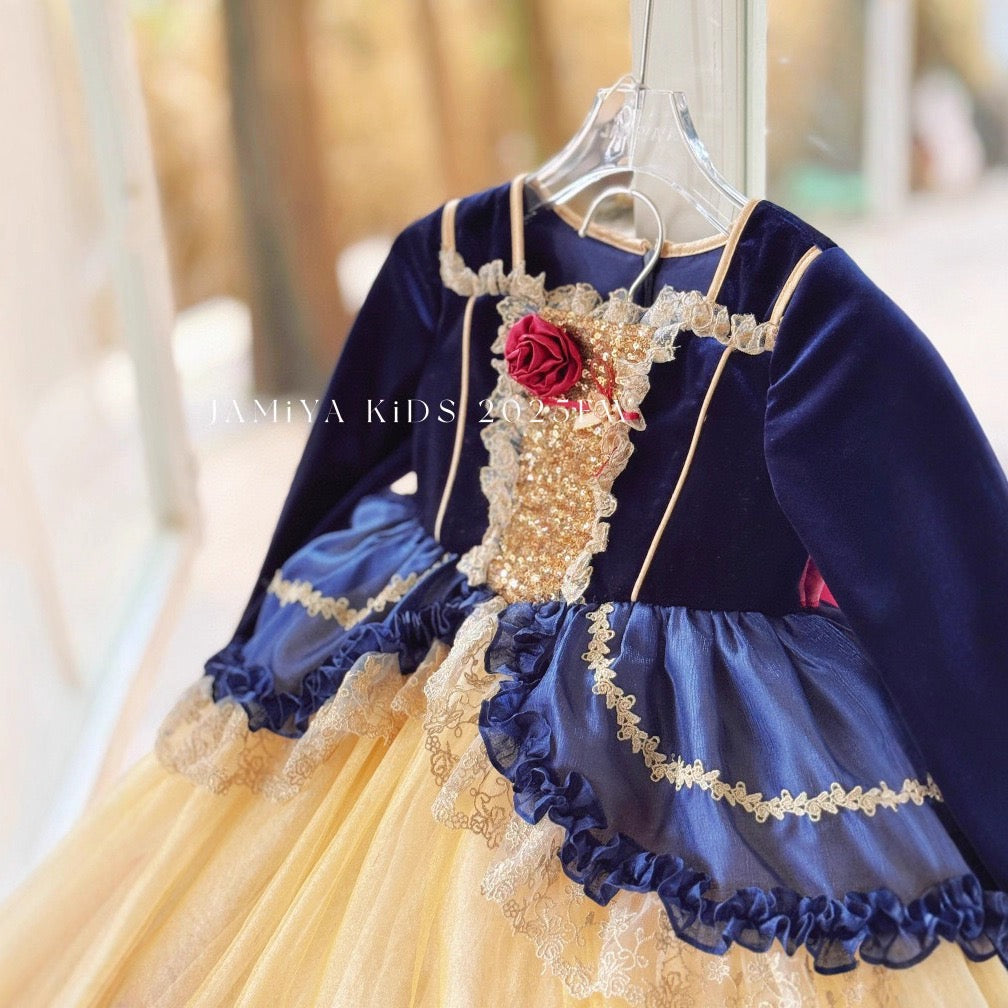 Fairytale Velvet & Tulle Princess Dress