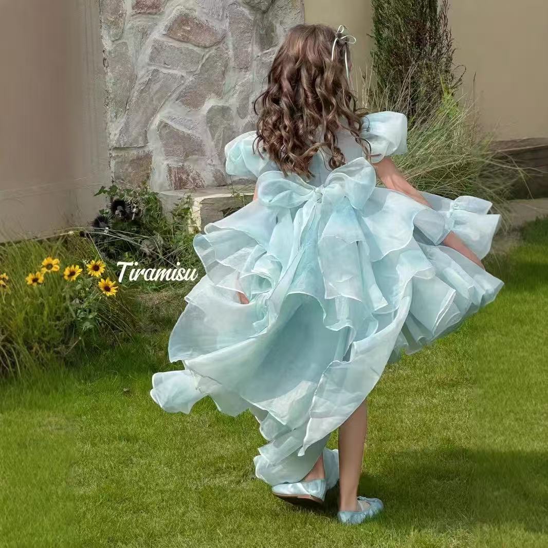 Light Blue Floral Puff - Sleeve Princess Dress