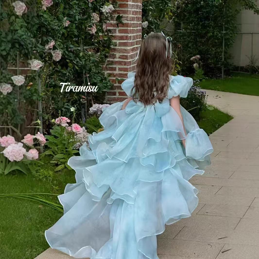 Light Blue Floral Puff - Sleeve Princess Dress