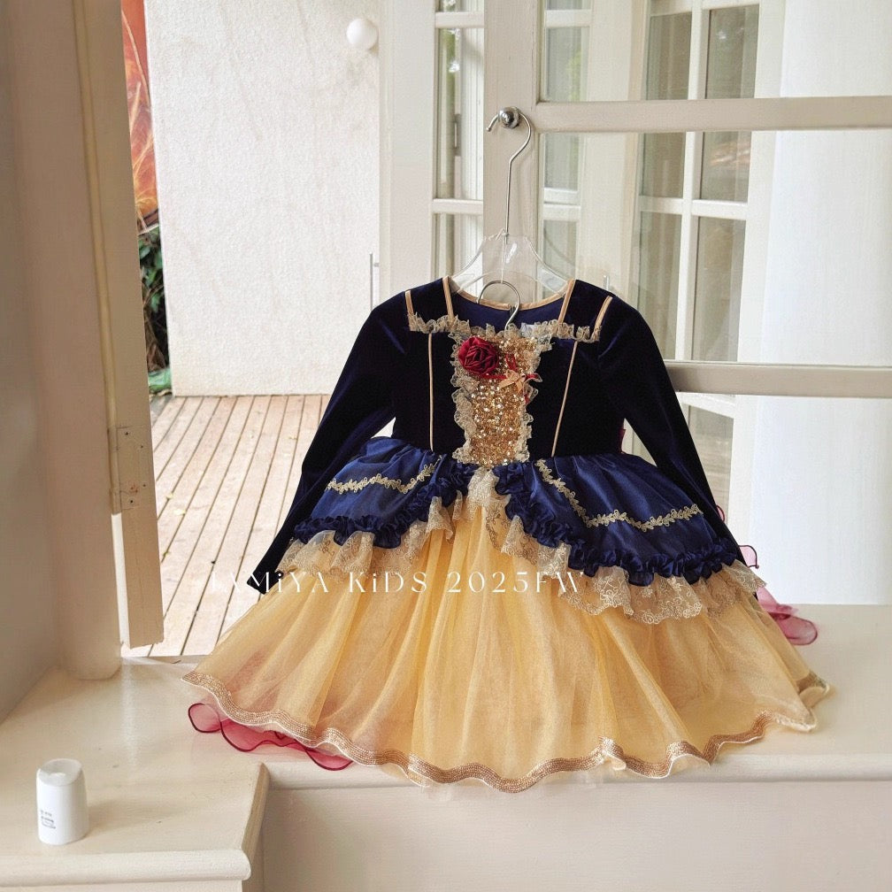 Fairytale Velvet & Tulle Princess Dress