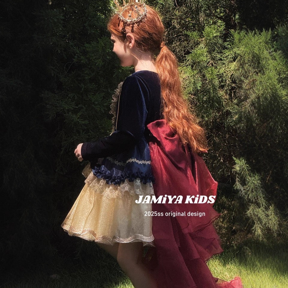 Fairytale Velvet & Tulle Princess Dress