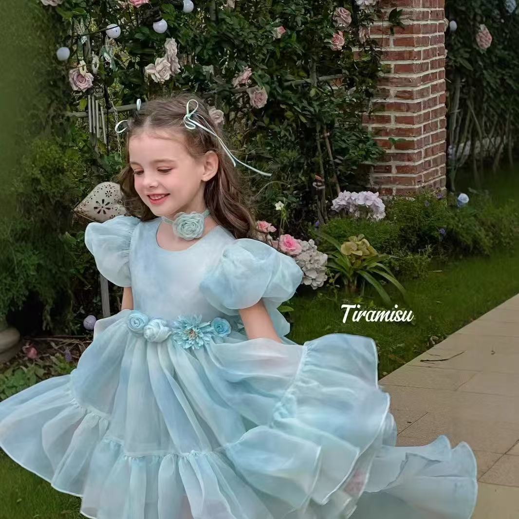 Light Blue Floral Puff - Sleeve Princess Dress
