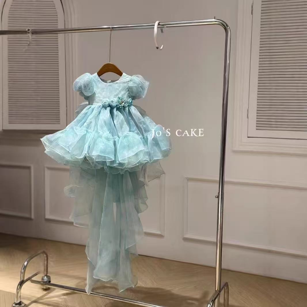 Light Blue Floral Puff - Sleeve Princess Dress